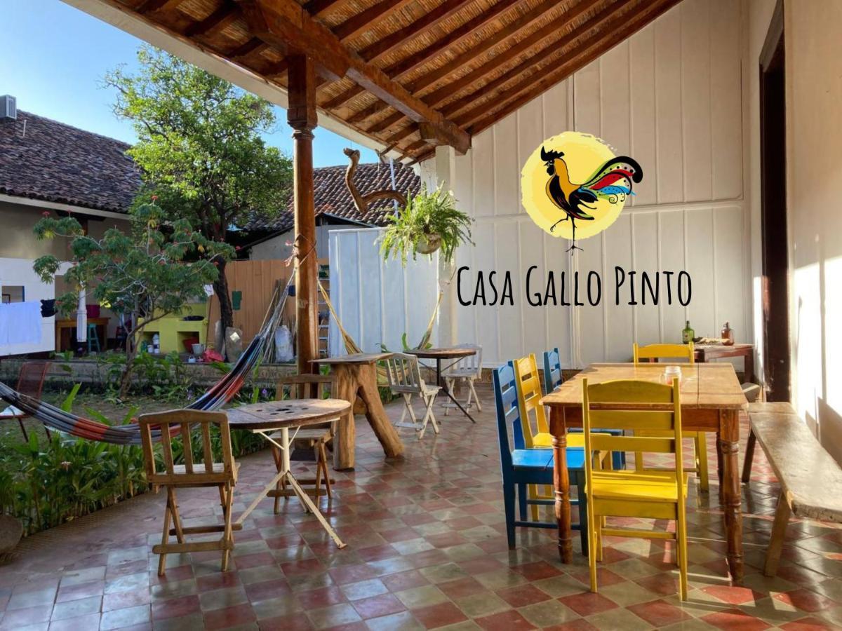 Casa Gallo Pinto Granada Εξωτερικό φωτογραφία