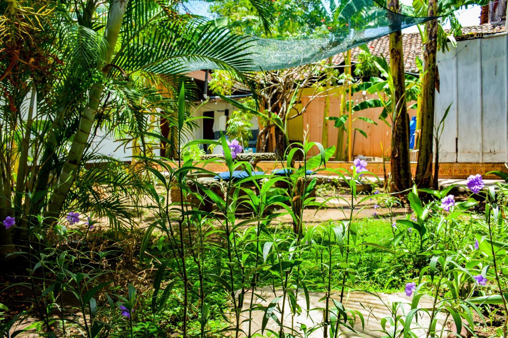 Casa Gallo Pinto Granada Εξωτερικό φωτογραφία